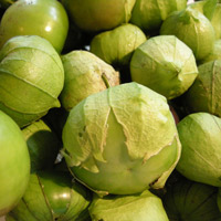 tomatillo